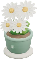 写了 530 字，收了一盆花