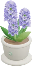 写了 540 字，收了一盆花