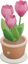 写了 520 字，收了一盆花